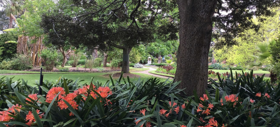 Williamstown Botanic Gardens
