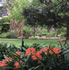 Williamstown Botanic Gardens