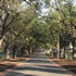 Yarra Park