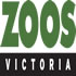 Zoos Victoria