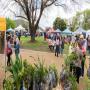 Myrtleford Bush Market 2026