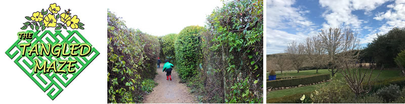 The Tangled Maze
