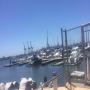 Anchorage Marina Williamstown