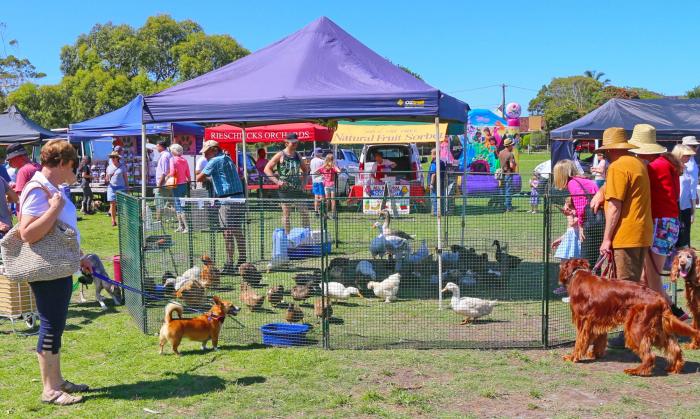 Black Rock Farmers' Market Black Rock Farmers' Market