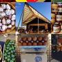 Cradle Coast Community Growers' & Makers' Market