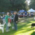Euroa Farmers' Market