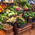 Melbourne's Saturday Markets