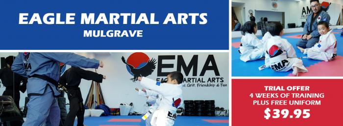 Eagle Martial Arts