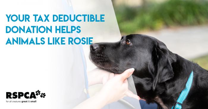 RSPCA Australia RSPCA Australia
