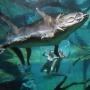 View Event: Cage of Death Experience - Crocosaurus Cove