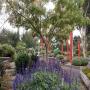 View Yarrabee Native Garden