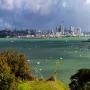 Auckland Top Tours: getyourguide.com