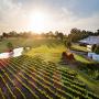 View Sandalford Estate - Swan Valley