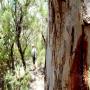 Heathcote National Park