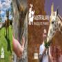 Australian Wildlife Parks