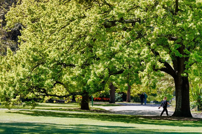 Central Park | Malvern East