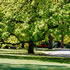 Central Park | Malvern East
