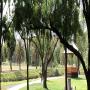 Pipemakers Park