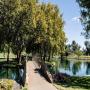 View Rymill Park