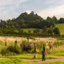 parkrun | Darebin