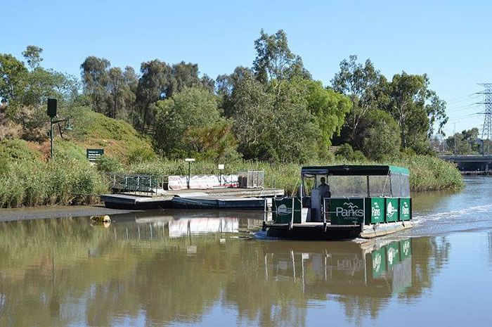 Herring Island | Punt Service 2026 Herring Island | Punt Service 2026