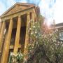 Royal Australasian College of Surgeons