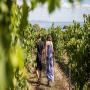Mornington and Bellarine Peninsula Wine Tour