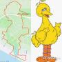 Big Bird Trail - Mount Martha