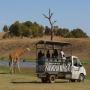Off Road Animal Safari: Werribee Open Range Zoo 