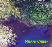 Merri Creek Merri Creek