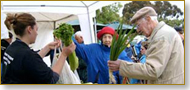 Kingston Farmers Market