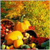Bacchus Marsh Harvest Festival 