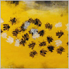 Hive 
