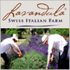 Lavender Harvest Festival 2026