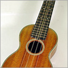 The Melbourne Ukulele Festival 