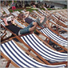MIFF on Deckchairs 
