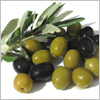 The Kyneton Olive Oil Harvest Launch 
