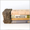 The Stony Rises Project 