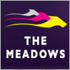 Greyhound Racing @ The Meadows 