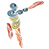Cricket World Cup Final | New Zealand v Australia