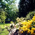 Open Weekend at Como Gardens | The Basin