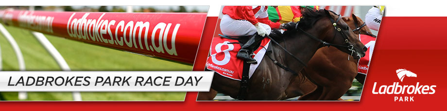 Australian Hurdle & Steeplechase | Thoroughbred Racing @ Sandown Australian Hurdle & Steeplechase | Thoroughbred Racing @ Sandown