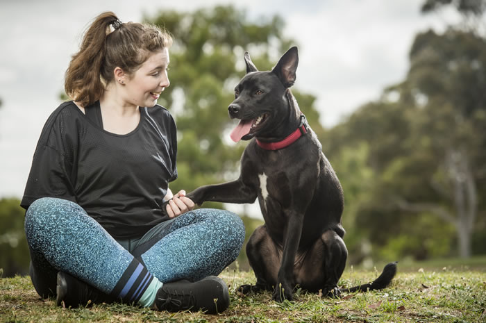 PETstock National Pet Adoption Day 2019 PETstock National Pet Adoption Day 2019