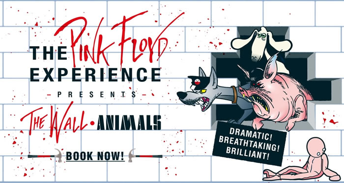 The Pink Floyd Experience