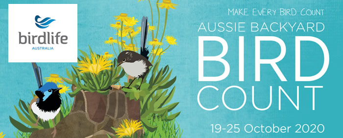 Aussie Backyard Bird Count 2020
