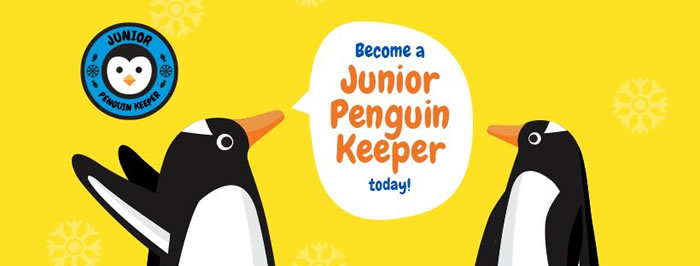 Seeking Junior Penguin Keepers | Sea Life Melbourne