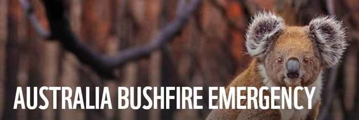 Bushfire Emergency: Australian Wildlife and Nature Recovery Fund