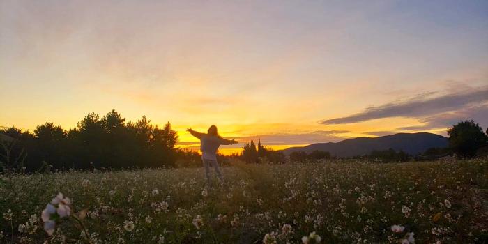 Ashleigh Kiven: Tales from Provence