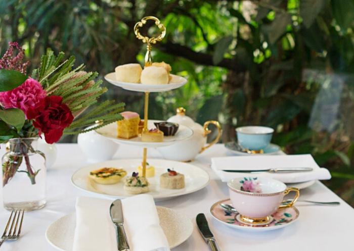 High Tea (Brunch Sitting) at Melbourne Zoo High Tea (Brunch Sitting) at Melbourne Zoo