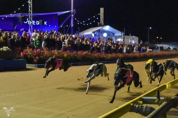The Phoenix 2025: World's Richest Greyhound Race The Phoenix 2025: World's Richest Greyhound Race